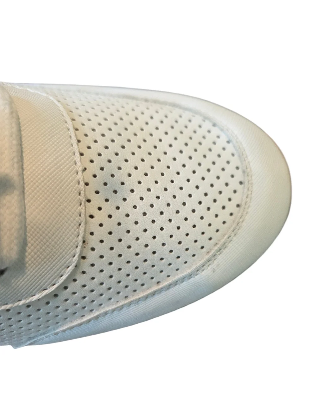 Steve Madden Caroline Trainer Sport Sneaker